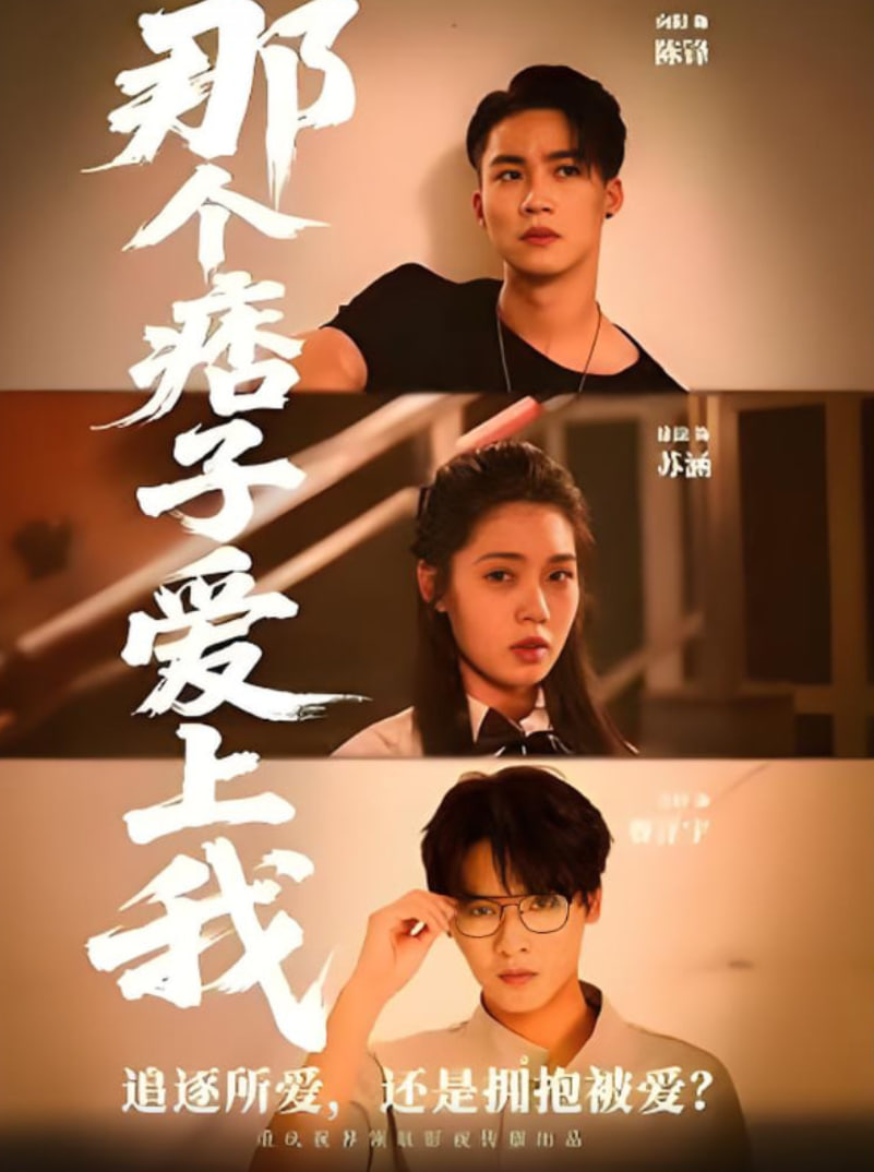 那个痞子爱上我