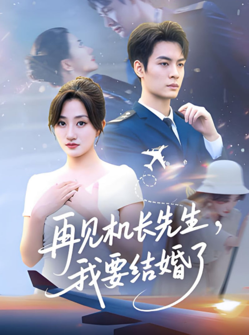 再见机长先生我要结婚了（再见机长先生，我要结婚了）