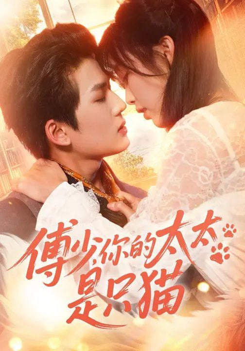 傅少，你的太太是只猫