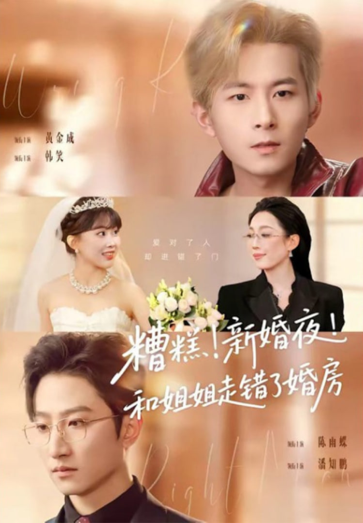 糟糕！新婚夜！和姐姐走错了婚房(糟糕新婚夜和姐姐走错了婚房)